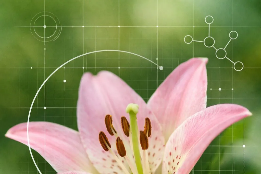 Lírio rosa em close sobre fundo verde com grafismos de análise científica, ilustrando a avaliação de toxicidade de plantas.